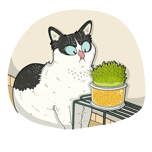 Telegram stiker «Cat^^» 🤩