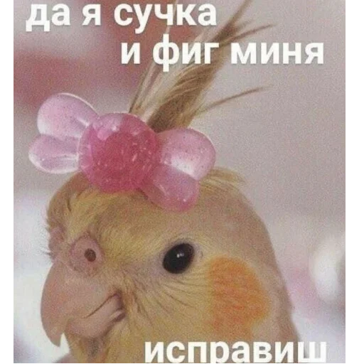 Стікер Мемы для АуТиСтОв 😎