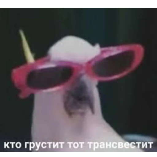 Telegram stiker «Мемы для АуТиСтОв» 😁
