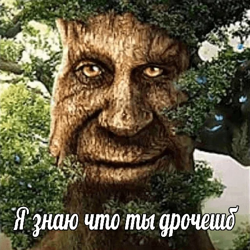 Telegram Sticker «Мудрое мистическое дерево» 😅