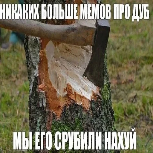 Telegram stiker «Мудрое мистическое дерево» 🤬