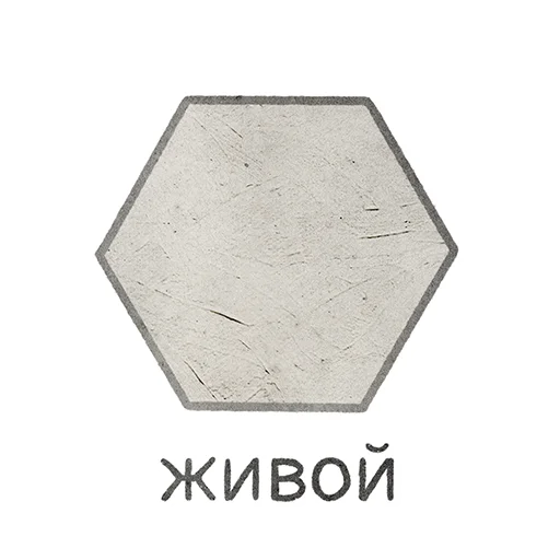 Telegram Sticker «Домашка по мета-геометрии» ✋