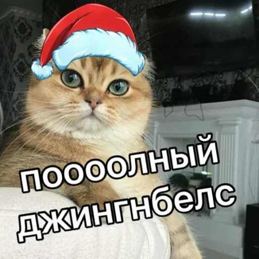 Стикер Telegram «Милые котики» 🐈
