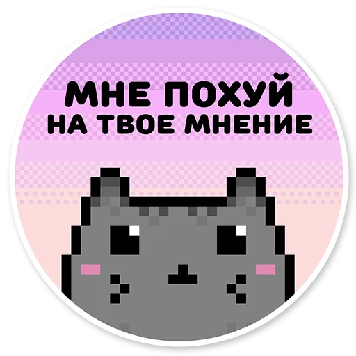 Telegram stiker «misanthropic cat» 😝