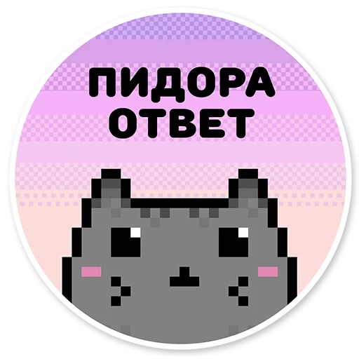misanthropic cat stiker 😀