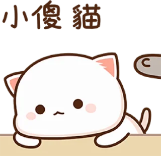 🐾 mitao cat 🐾  sticker 😞
