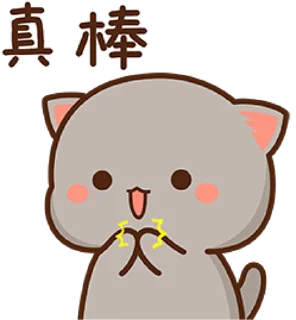 🐾 mitao cat 🐾  sticker 👏