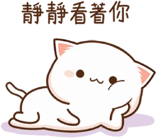 🐾 mitao cat 🐾  sticker 🙂