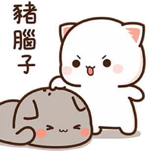 🐾 mitao cat 🐾  sticker 👊