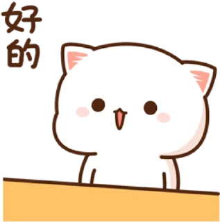 🐾 mitao cat 🐾  sticker 🙄