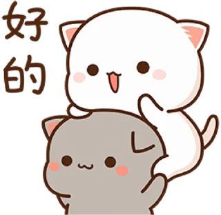 🐾 mitao cat 🐾 stiker 🥰