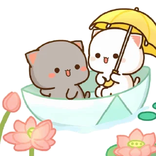 🐾 mitao cat 🐾  sticker 🛶