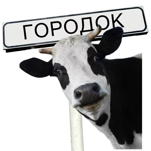 Telegram stiker «МіжФрак» 🐄