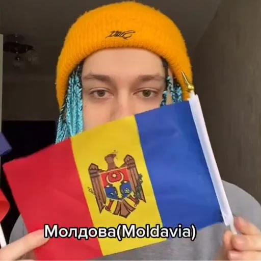 молдавская муха emoji 🇲🇩