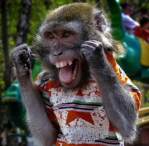 monkeys emoji 😁