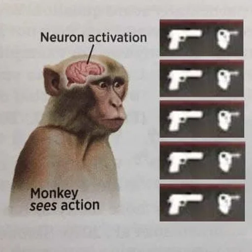 monkeys sticker 🧠