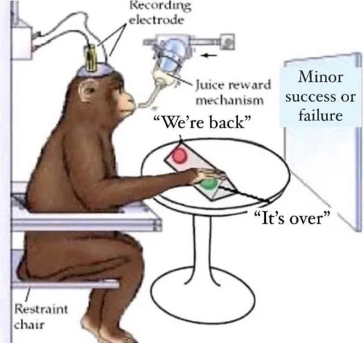 Telegram Sticker «monkeys» 🧠