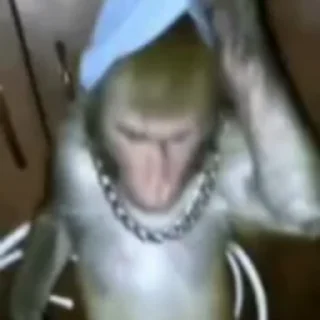 Monkeys sticker 🌟