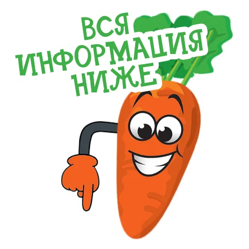 Стікер Морковь Сеня 👇