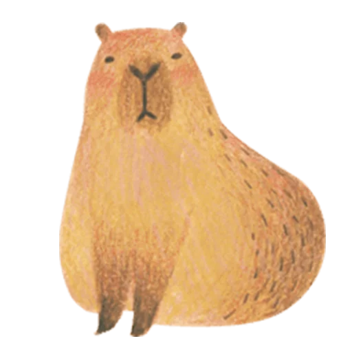 Telegram Sticker «Mr. Capybara» 😐