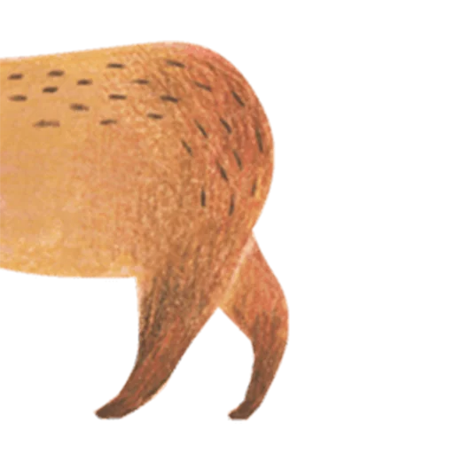 Telegram Sticker «Mr. Capybara» 👋