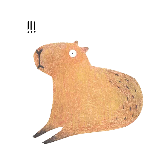 Telegram Sticker «Mr. Capybara» 😳