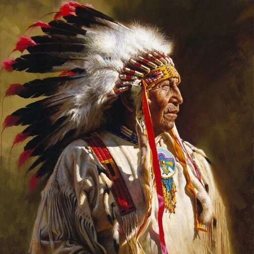Стикер Native American Love ❤️