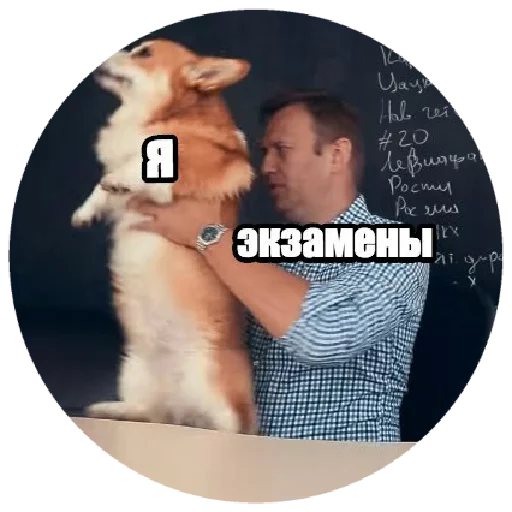 Стикер Telegram «Навальный» ✍