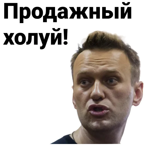 Стикер Telegram «Navalny» 🤬