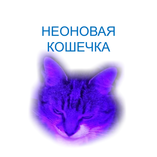 Telegram stiker «Неоновая Котейки» 🥳