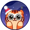 New Year Tiger emoji 🤩