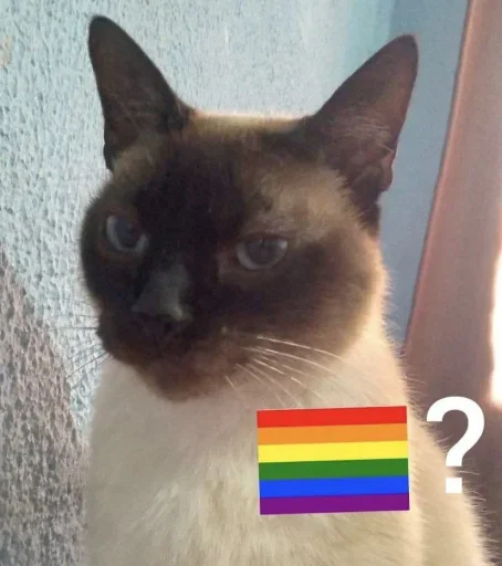 Telegram Sticker «No gays!» 🏳️‍🌈