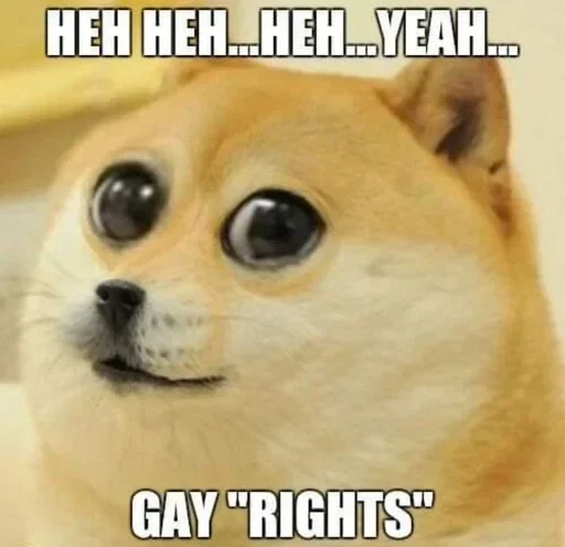 Telegram stiker «No gays!» 🏳‍🌈