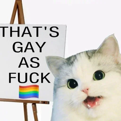 Стікер Telegram «No gays!» 🏳‍🌈
