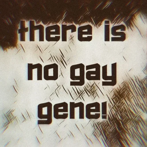 Стикер No gays! 🏳‍🌈