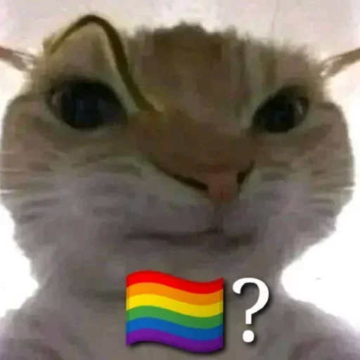 Стікер Telegram «No gays!» 🏳️‍🌈