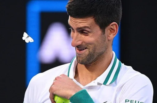 Novak Djokovic emoji 😌