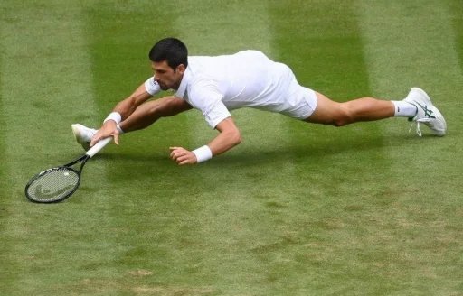 Стикер Telegram «Novak Djokovic» 🤸‍♂️