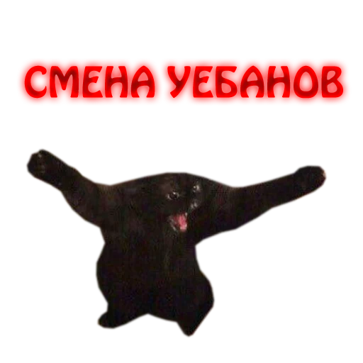 Telegram stiker «NelyubimovTeam» 👹