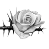 rose garden ♡  emoji 🌹