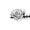 rose garden ♡  emoji 🥀