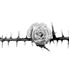 rose garden ♡  emoji 🥀