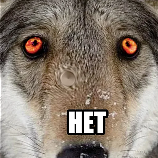 Стікер Telegram «Волчьи мемы» 👎