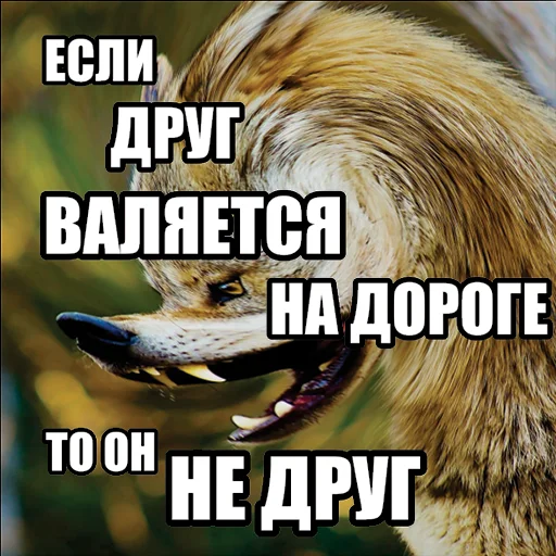 Telegram stiker «Волчьи мемы» 🛣