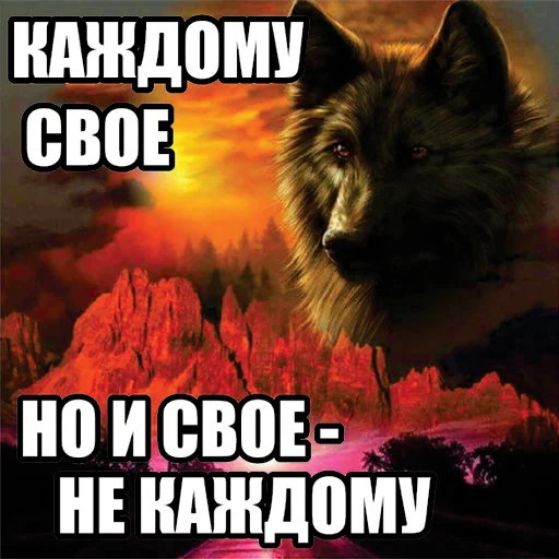 Telegram stiker «Волчьи мемы» 🌚