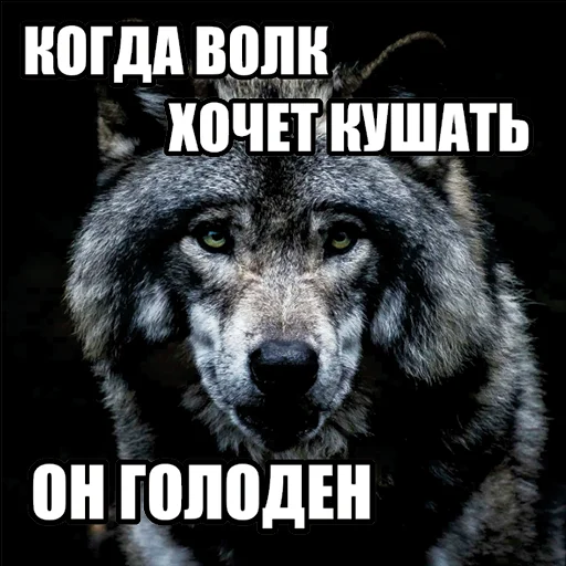 Стікер Telegram «Волчьи мемы» 😋
