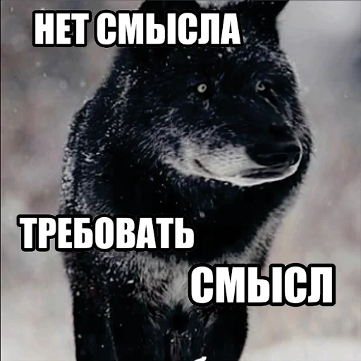 Telegram stiker «Волчьи мемы» 🤡