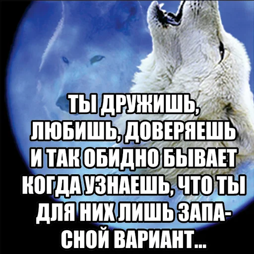 Telegram stiker «Волчьи мемы» 😢