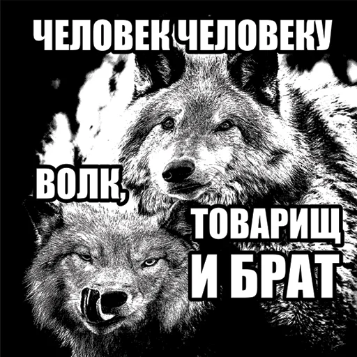 Telegram stiker «Волчьи мемы» 🧍