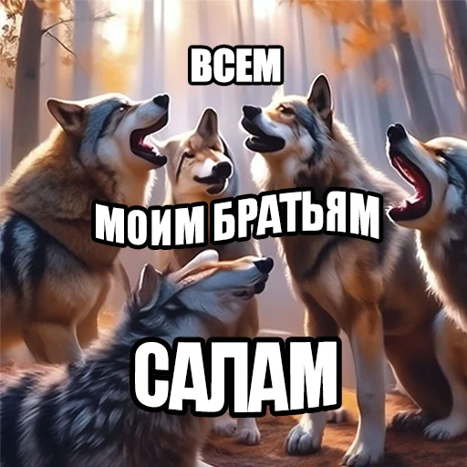 Telegram stiker «Волчьи мемы» 👋
